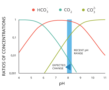 pH_海洋碳酸盐