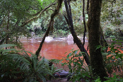 来自腐烂植物的单宁使这条河染成红色。